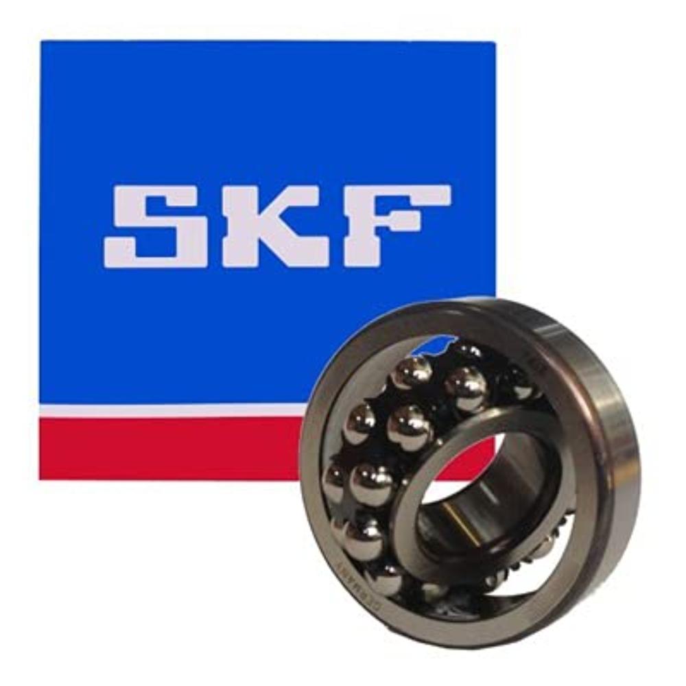 SKF Bearing