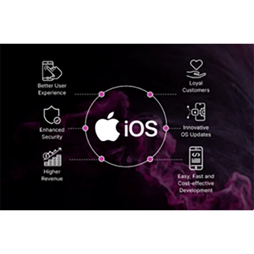 Ios एप्लिकेशन विकास -