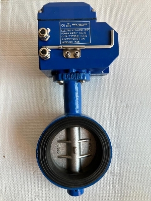 Motorized Valve - Color: Blue / Silver