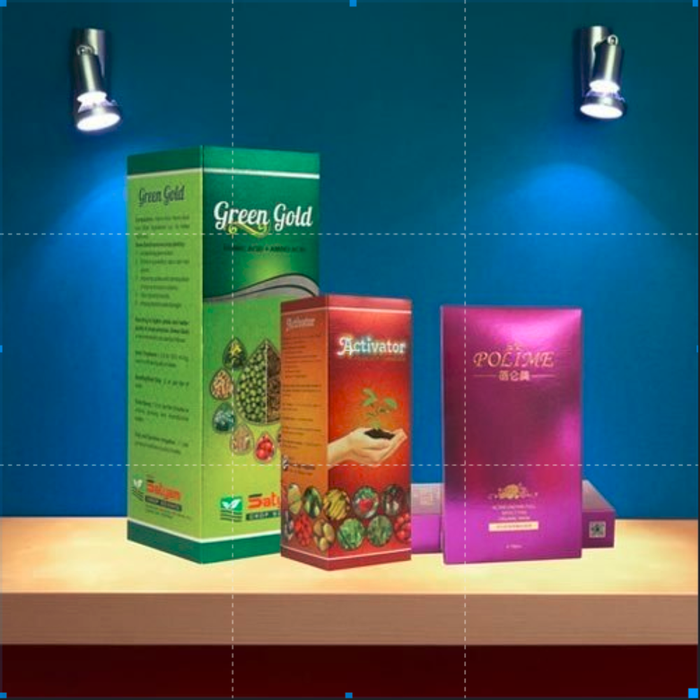 Paper Dry Fruit Packaging Box Printing Services
