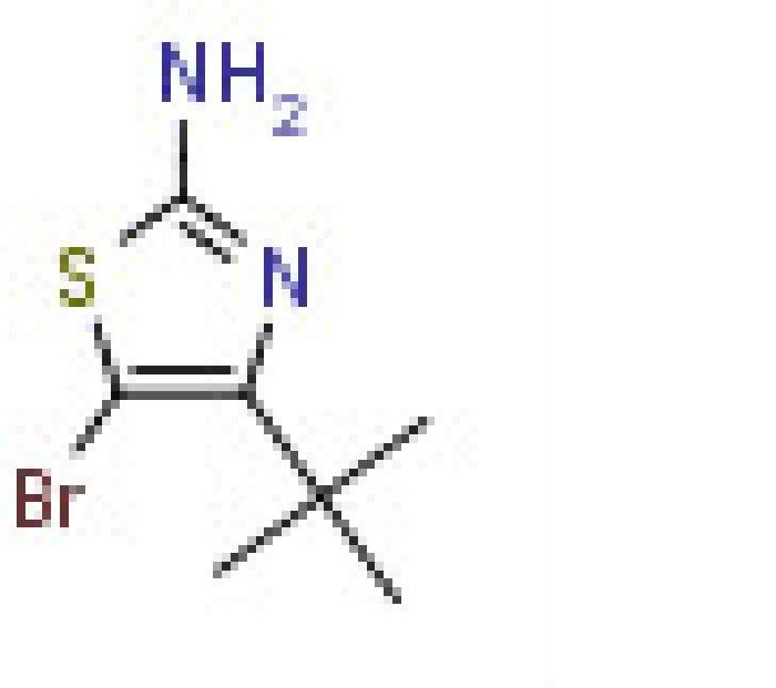 2-Amino- 5-bromo-4-t-butylthiazole