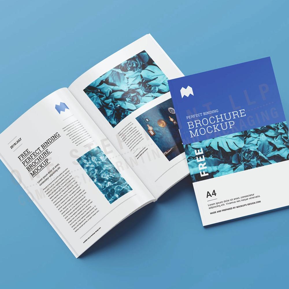 Multicolor Booklets Printing