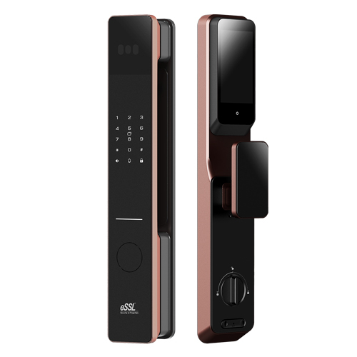 Fl500 Fingerprint Door Lock - Color: Black