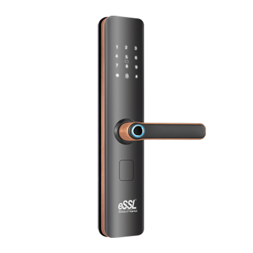 Fl200M Plus Fingerprint Door Lock - Color: Black