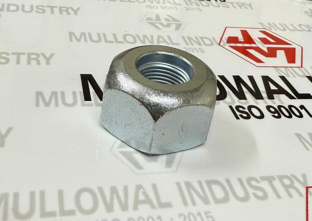 Hex Dome Nut - Color: Silver