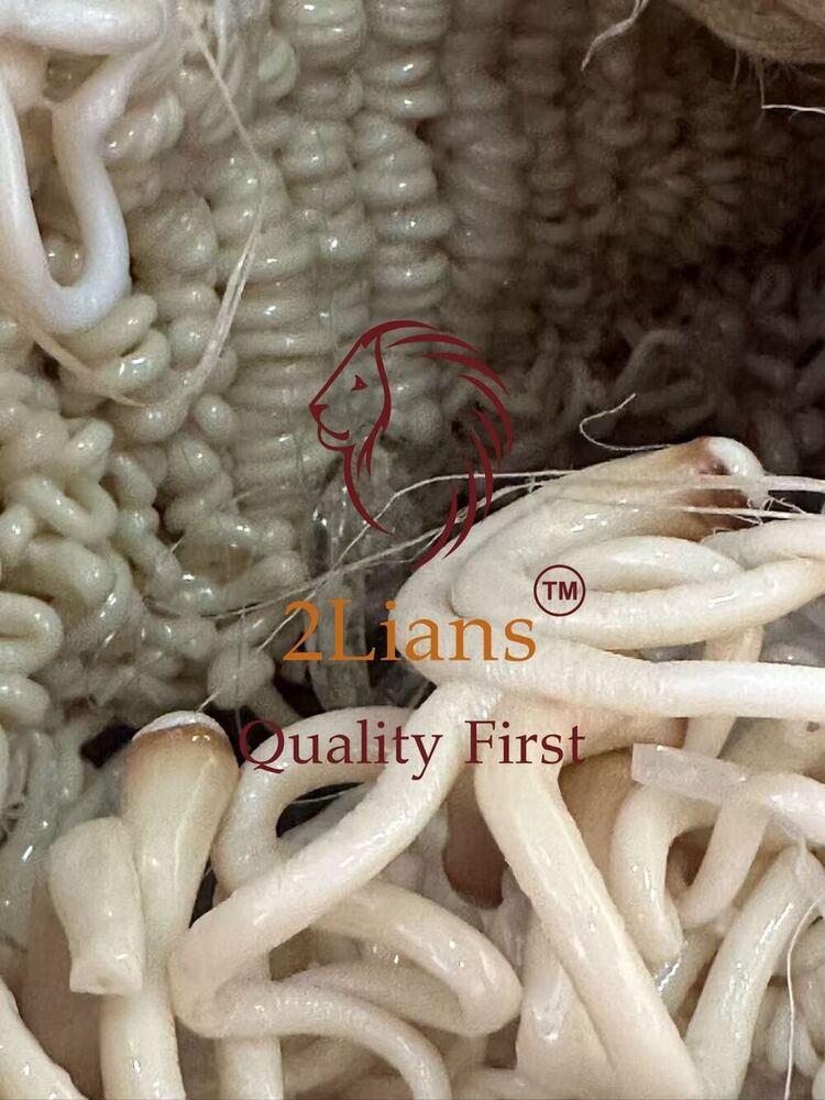 PET long-fiber lumps scrap