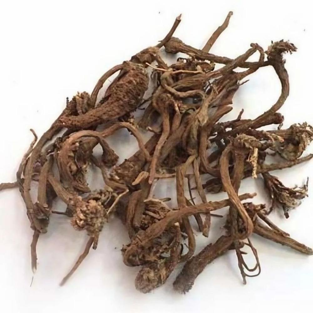 Akarkara Roots (anacyclus Pyrethrum) - Age Group: Suitable For All