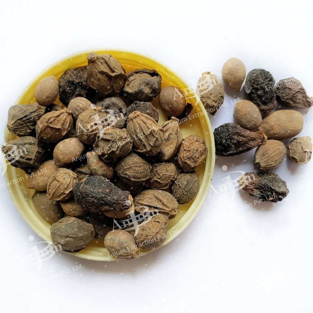 Gambhari (Gmelina arborea) Extract