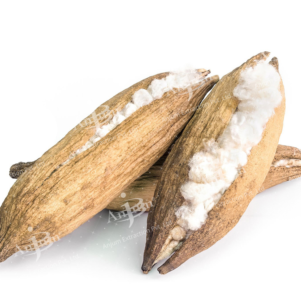 Mochras (Bombax ceiba) Extract