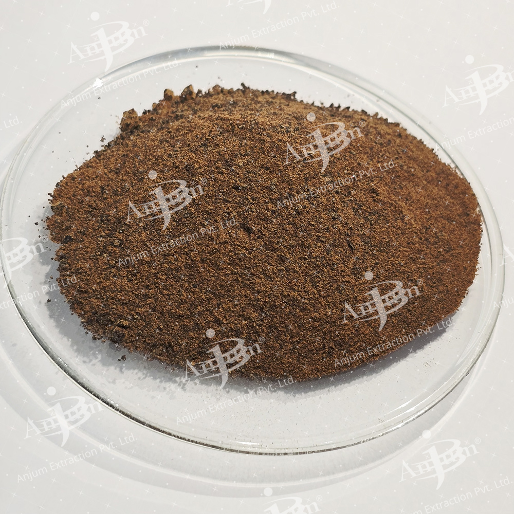 Dhatura alba (Dhatura Panchang) Extract