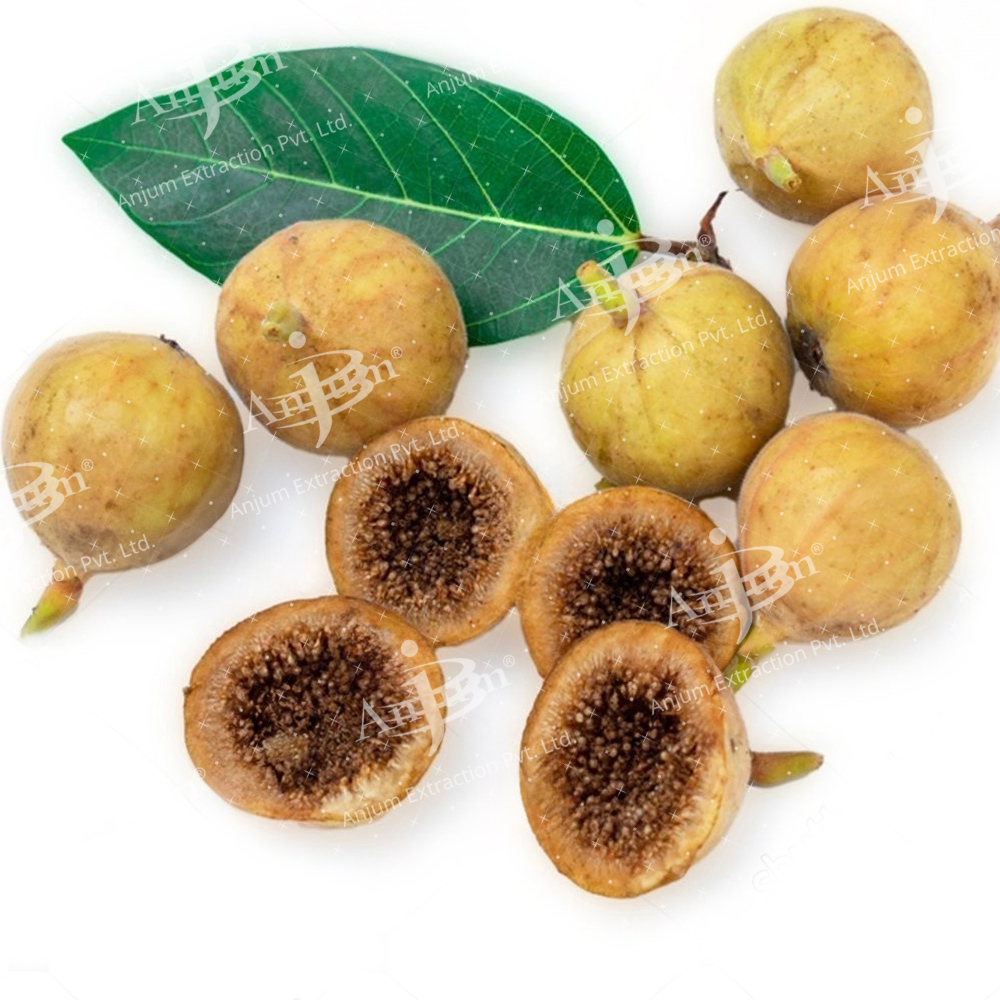Udumber Bark (Ficus racemosa) Extract