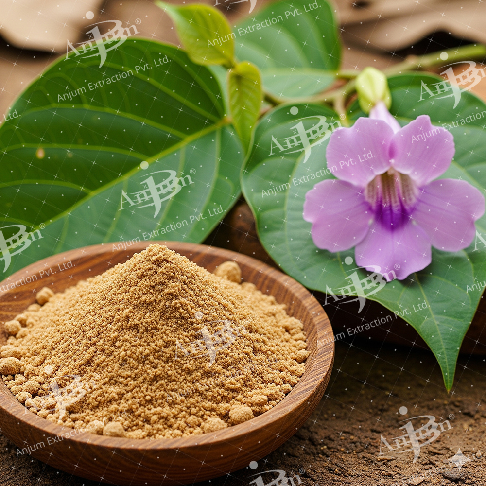 Vidhara (Argyreia nervosa) Extract