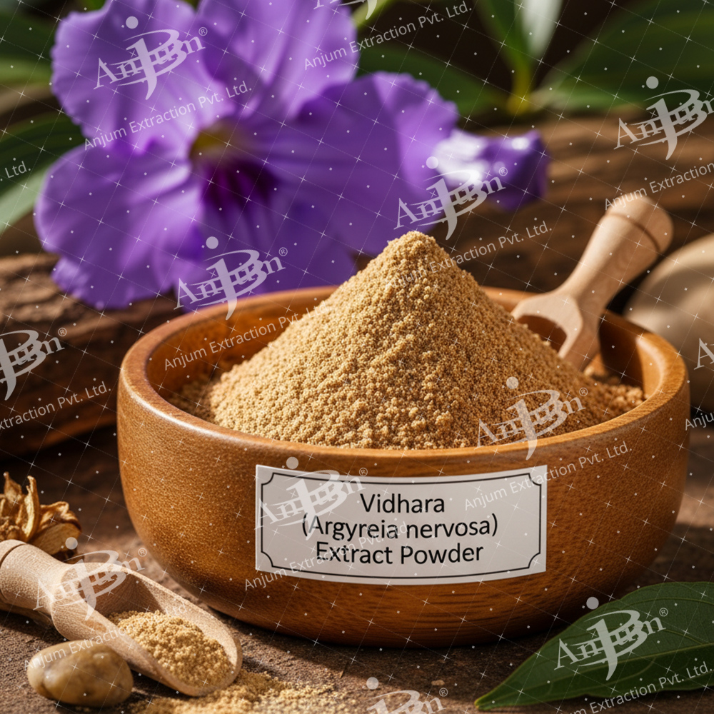 Vidhara (Argyreia nervosa) Extract