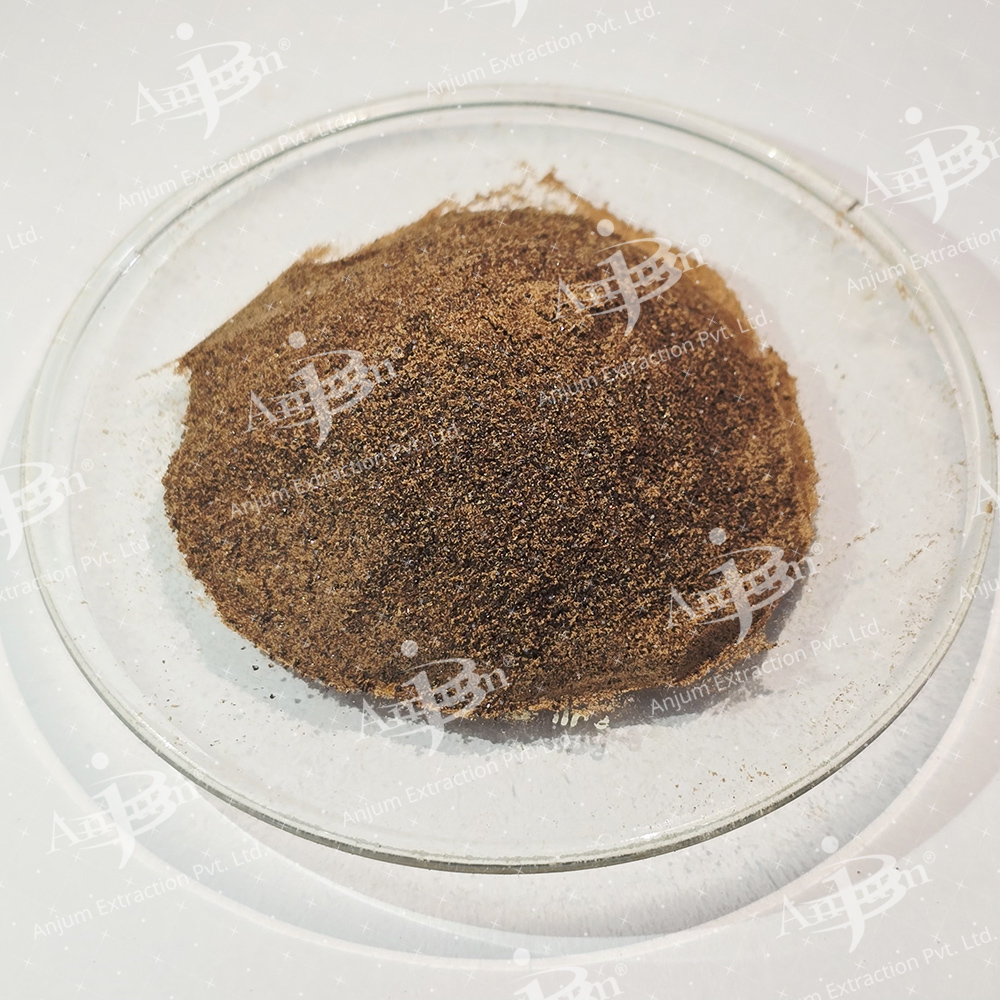 Moulsiri Chaal (Mimusops elengi) Extract