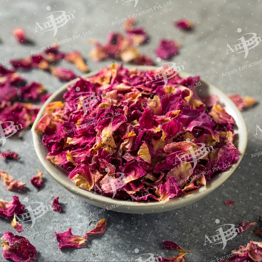 Rosa Indica (Gulab Phool) Extract - Application: Medicine