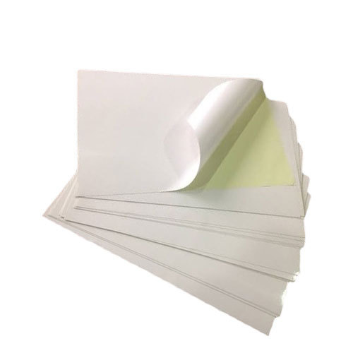 PNF White Mobile Phone Skin