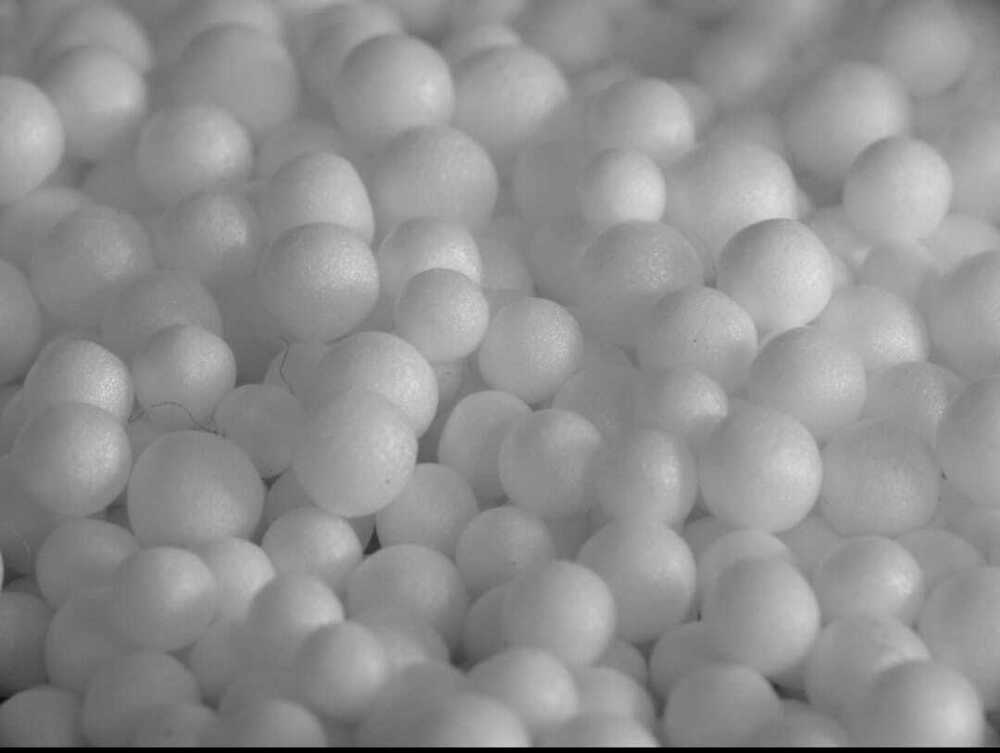 Thermocol Ben - Color: White