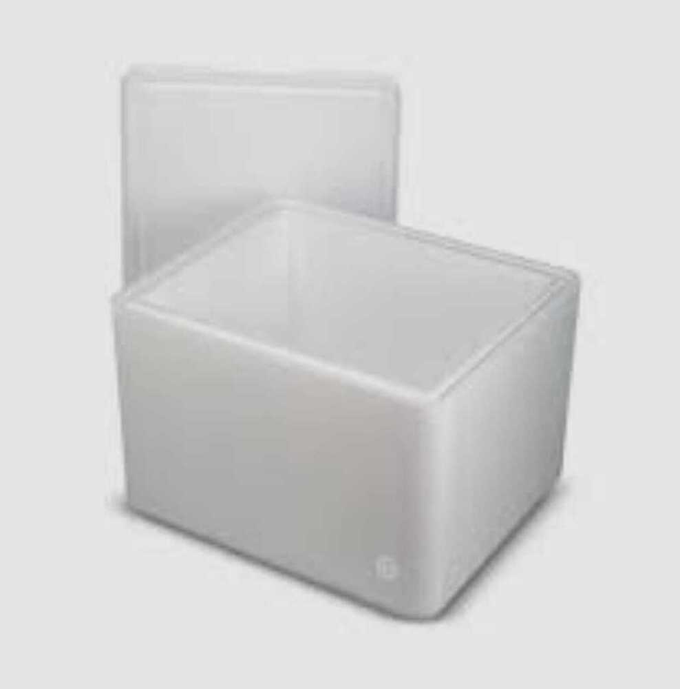 Thermocol Ice Box - Color: White