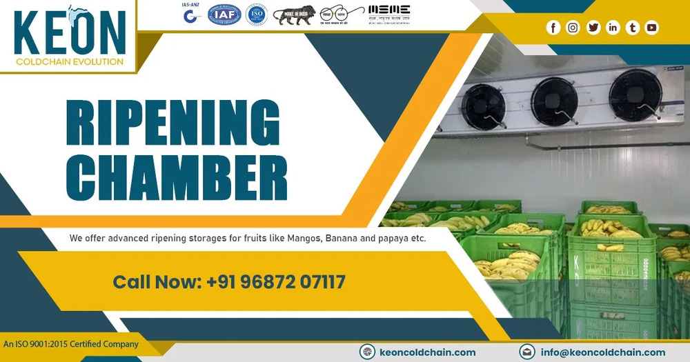 Fruit Ripening Chamber - Application: Industrial