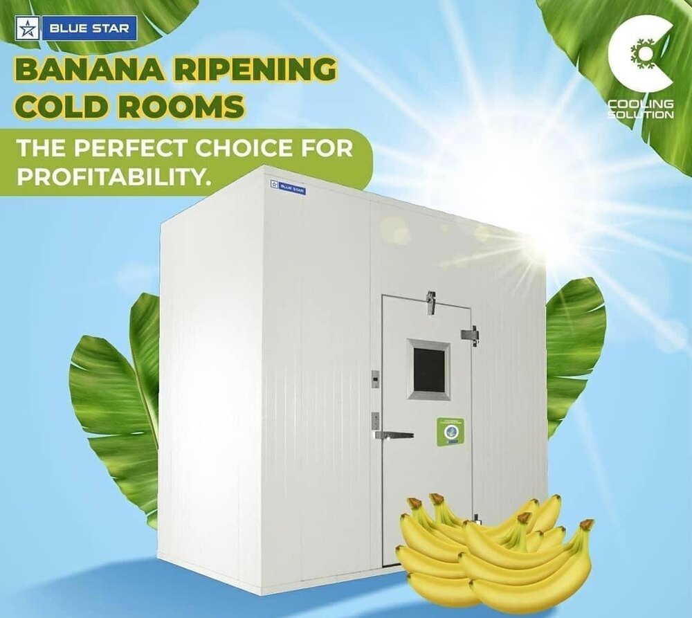 Banana Ripening Chamber - Application: Industrial