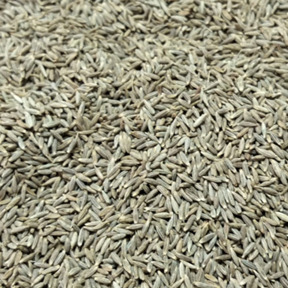 Organic Cumin Seeds - Color: Brown