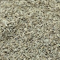 Organic Cumin Seeds - Color: Brown
