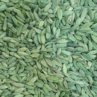 Green Cardamom