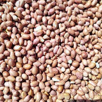 Organic Peanut
