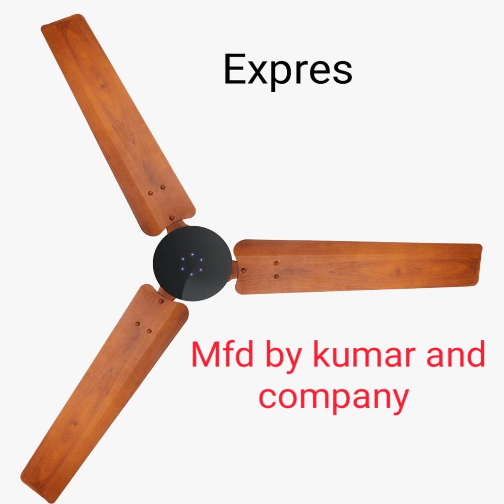 Bldc Ceiling Fan - Blade Diameter: 48" Inch (In)