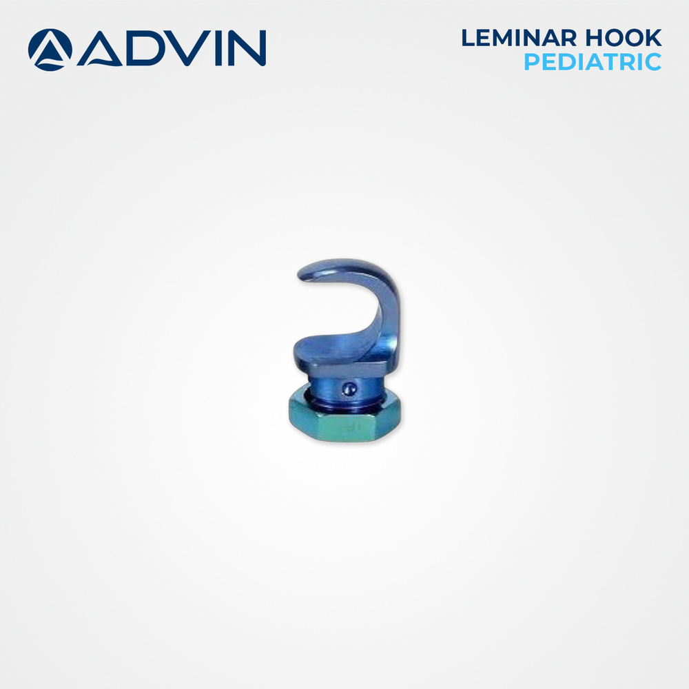 Spinal Fixation System