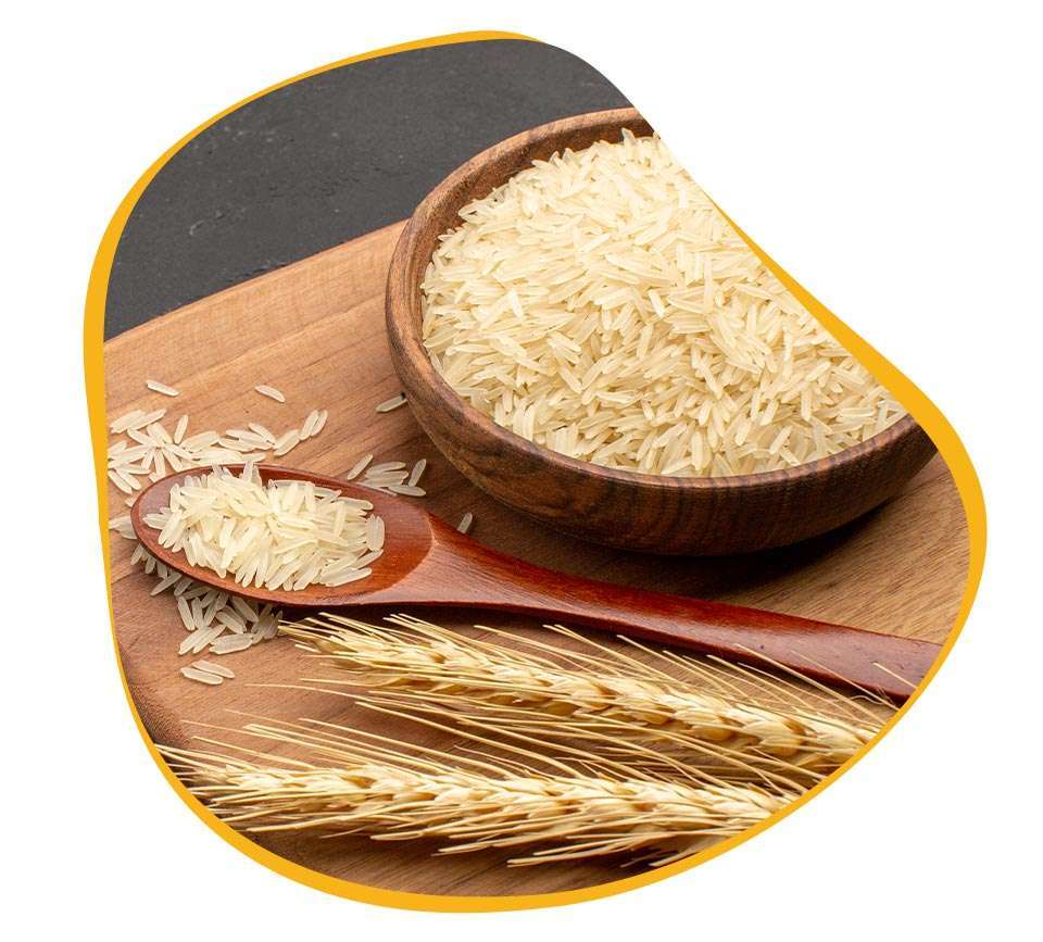 Organic Basmati Rice - Broken (%): 1% Max