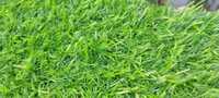 Green Astro Artificial Grass
