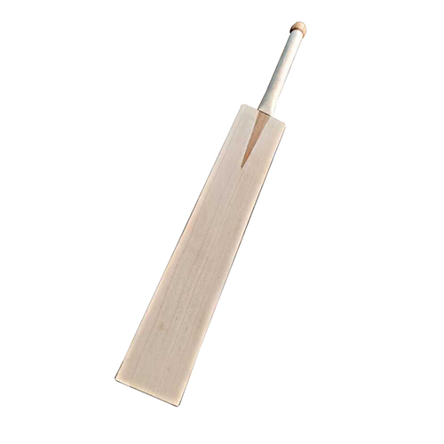 English Willow Bat - Application: Cricket
