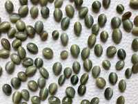 Natural Cats Eye Gemstone - Hardness: Rigid