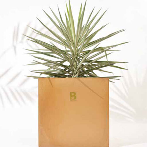 Cubical Planter - Color: Brown