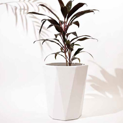 Diamond Planter - Color: White