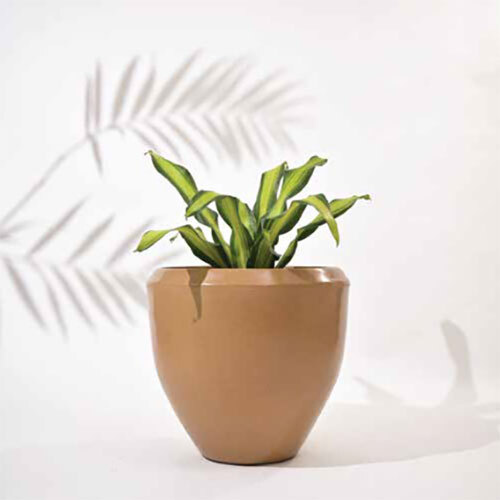 Luna Planter - Color: Brown
