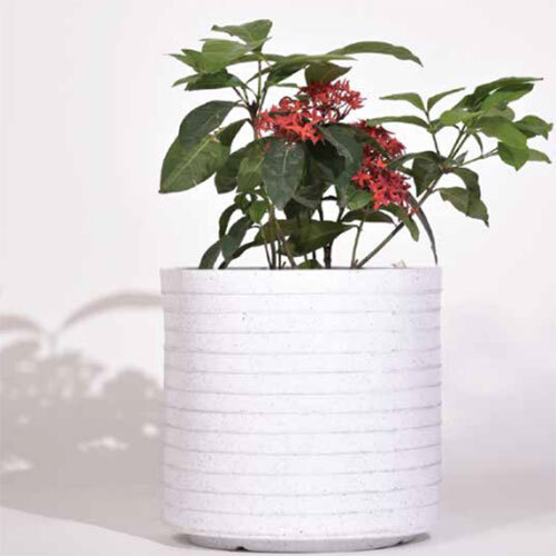 Rib Cubical Round Planter - Color: White