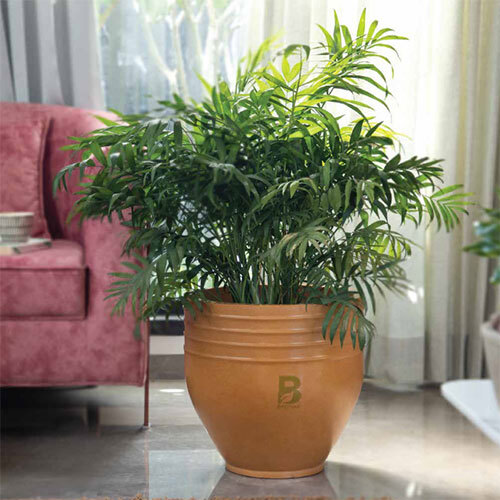 Rib Oval Planter - Color: Brown