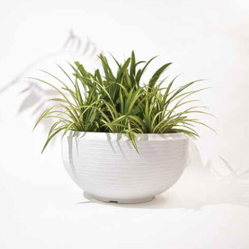Rib Tasla Planter - Color: White