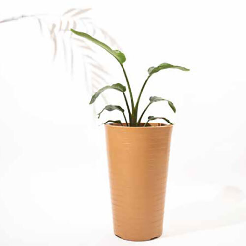 Rib Tower Planter - Color: Brown