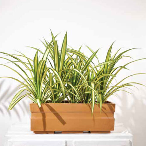 Trow Planter - Color: Brown
