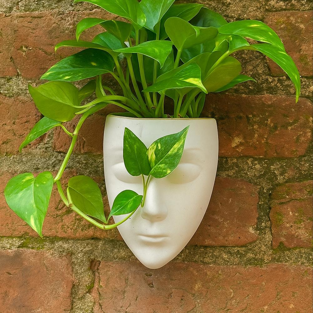 Ceramic Face Planter 1 - Color: White