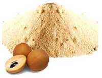 Spray Dried Chikoo Powder - Cultivation Type: Common