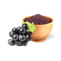 Spray Dried Jamun Powder