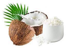 Spray Dried Coconut Water Powder - Cultivation Type: Common