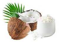 Spray Dried Coconut Water Powder - Cultivation Type: Common