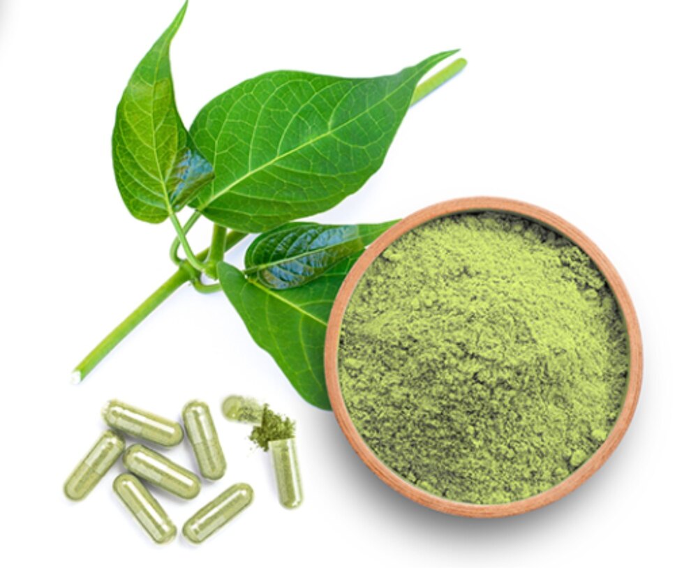 Gymnema Powder - Grade: Food Grade
