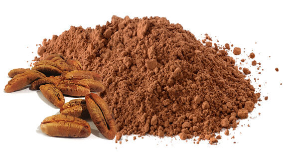 Date Seed Powder - Grade: Food Grade