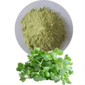 Watercress Powder - Cultivation Type: Common